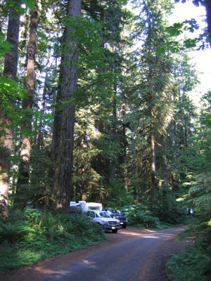 IMG_1961.JPG