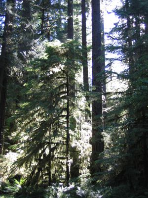 IMG_1963.JPG