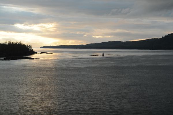 DSC_4029.JPG