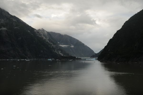 DSC_4246.JPG