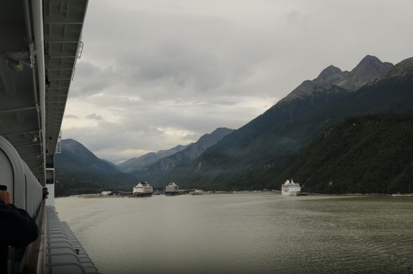 DSC_4504.JPG