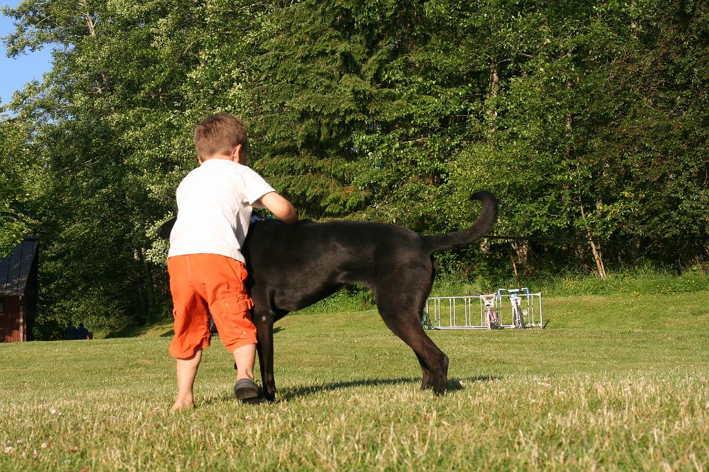 IMG_9075