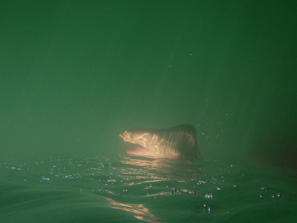 P6270703
