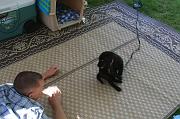 IMG_8929