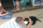 IMG_8930
