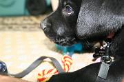IMG_8954