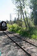 IMG_9010