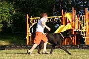 IMG_9078
