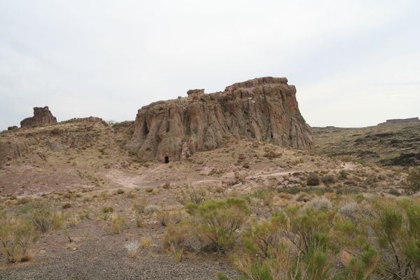 IMG_5443.JPG