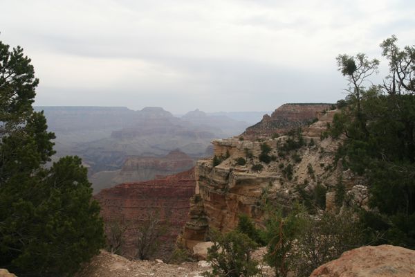 IMG_5505.JPG