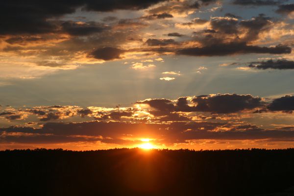IMG_6188.JPG