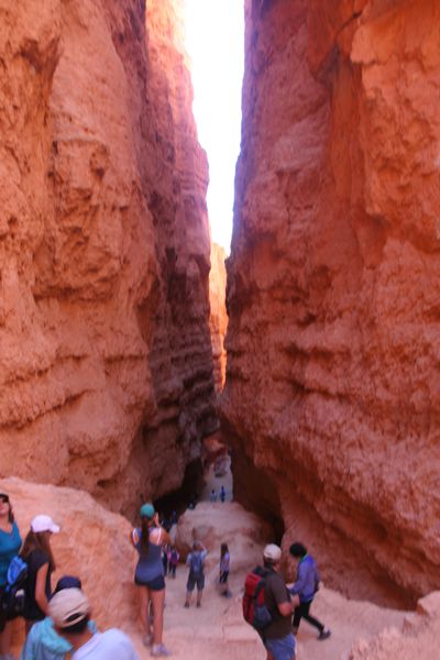 IMG_6400.JPG