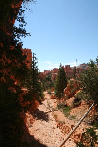 IMG_6423.JPG