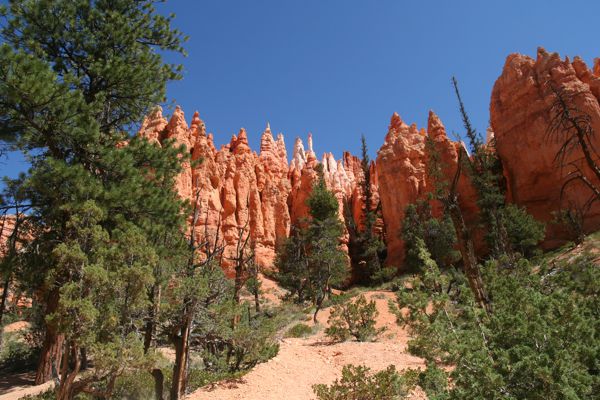 IMG_6429.JPG