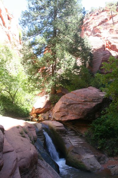 IMG_6638.JPG