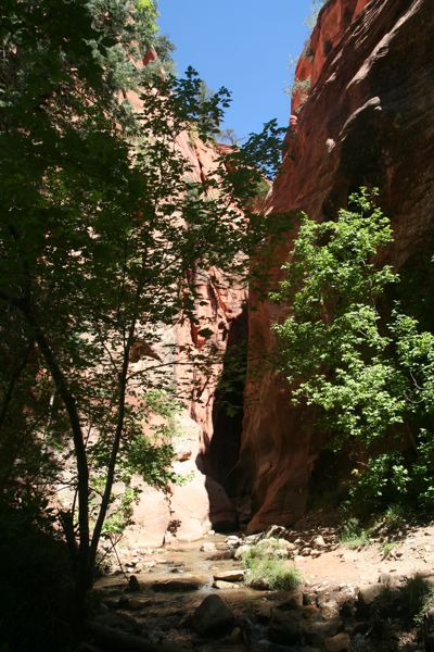 IMG_6642.JPG
