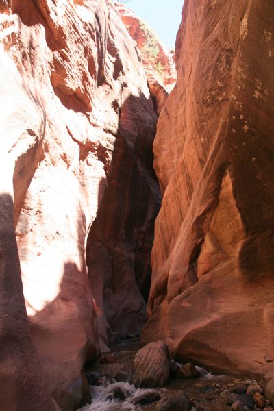 IMG_6645.JPG