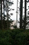 IMG_4892