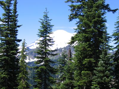 IMG_2227.JPG