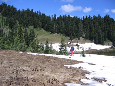 IMG_2317.JPG