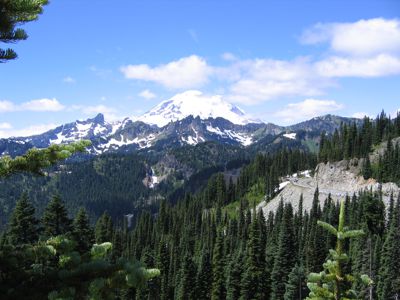 IMG_2320.JPG