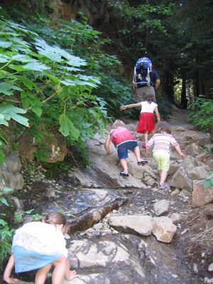 IMG_2706.JPG