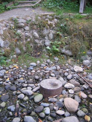 IMG_2719.JPG
