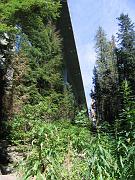 IMG_3445