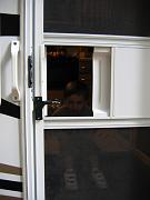 IMG_2058