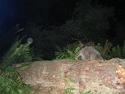IMG_2082