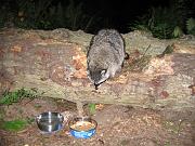 IMG_2085