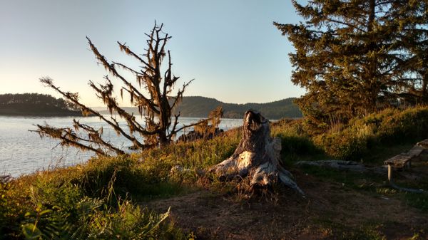 IMG_20170527_201306485_HDR.jpg