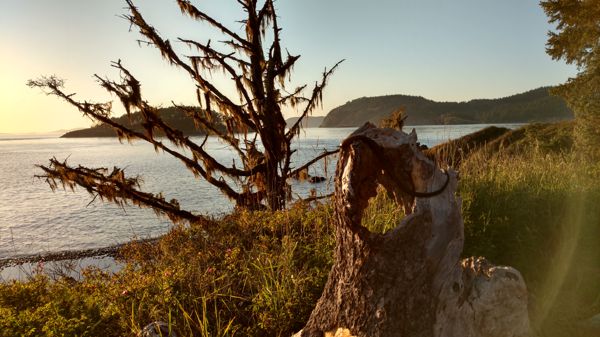IMG_20170527_201315918_HDR.jpg