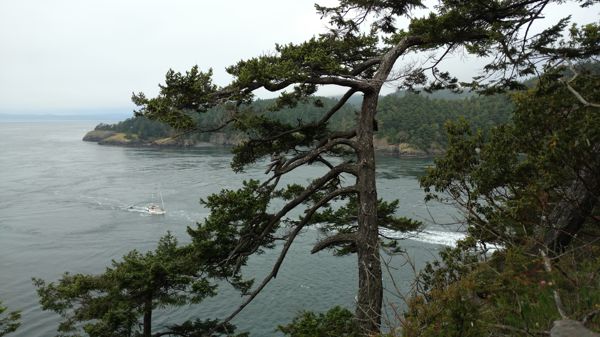 IMG_20170529_121633354.jpg