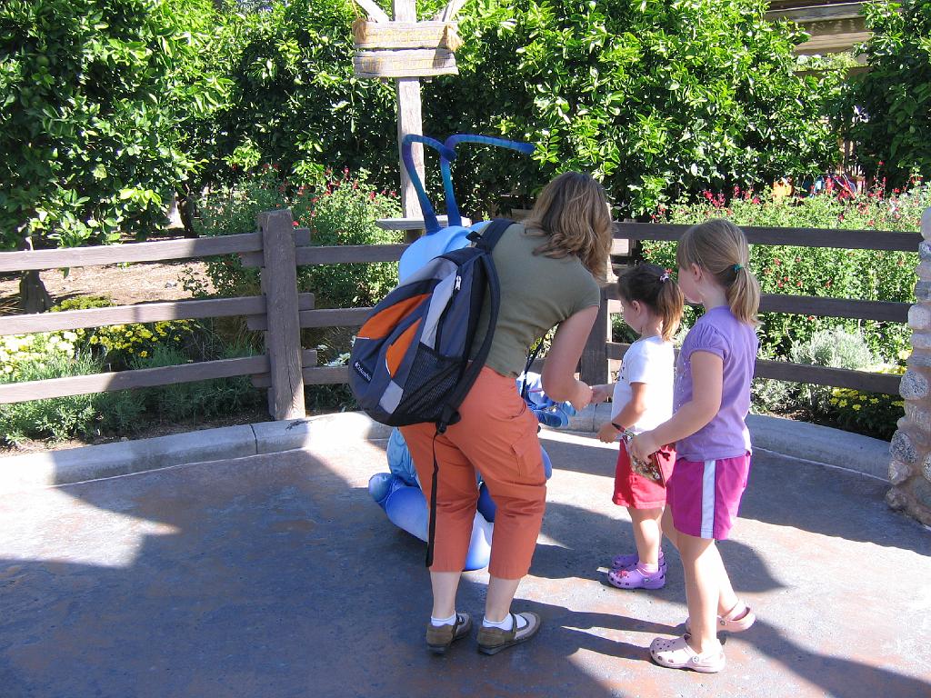 IMG_3655