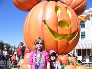 IMG_3604