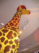 IMG_3606