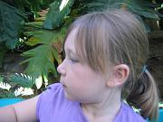 IMG_3654
