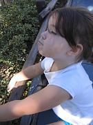 IMG_3742