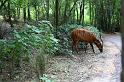 img_6240