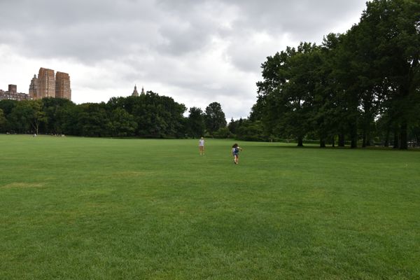 DSC_0374.JPG