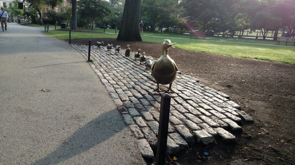 IMG_20170803_071902011.jpg