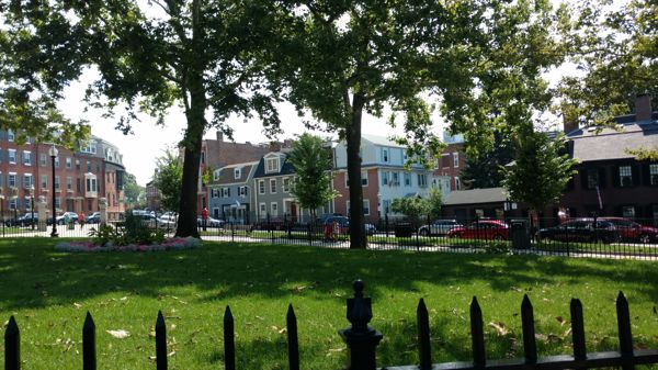 IMG_20170803_110600598.jpg