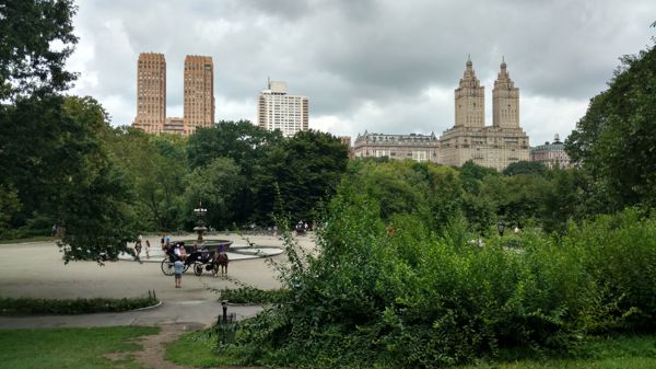 IMG_20170805_120213377_HDR.jpg