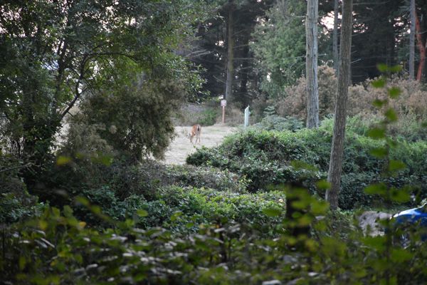 DSC_0001.JPG