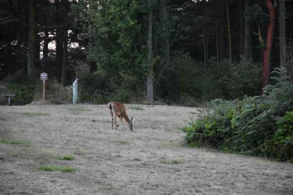 DSC_0006.JPG