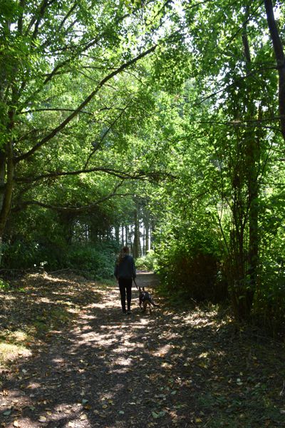 DSC_0098.JPG