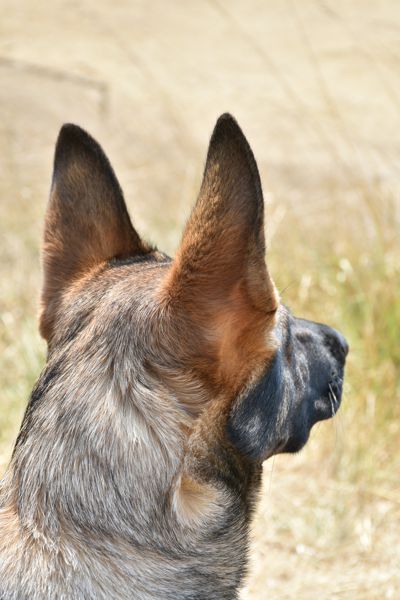 DSC_0114.JPG