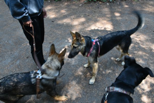DSC_0130.JPG
