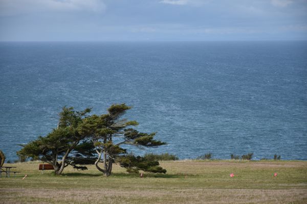 DSC_9644.JPG